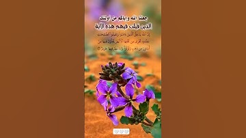 #ان الله يدخل الذين امنوا وعملوا الصالحات #قارئ عبد الباسط عبد الصمد