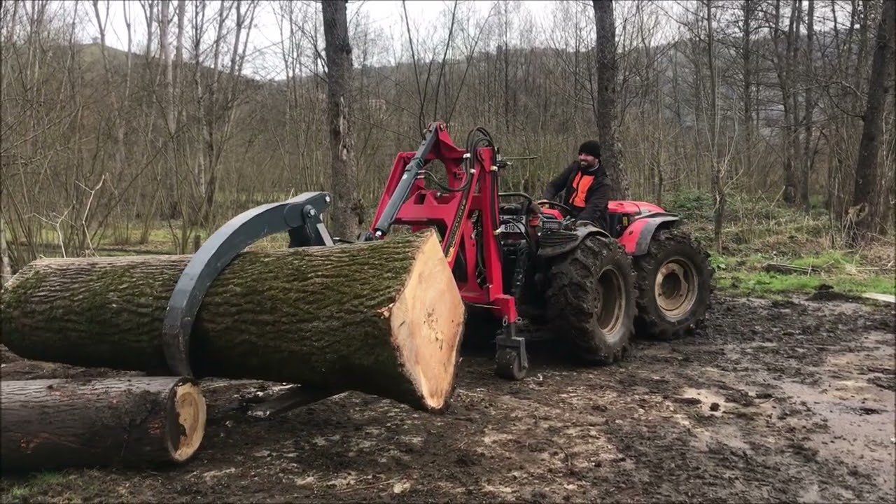Antonio Carraro TRX9900 🌲 🌳 Forest Work 🌲 Loading With Assistant Scoop🌳İveco Daily🚛 Vlog..