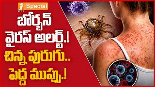 New Bourbon Virus Case Raises Health Concerns | What You Need to Know | iSpecial screenshot 1