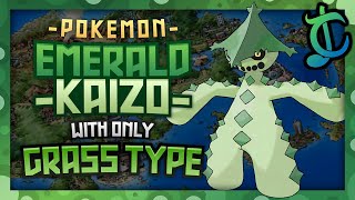 Can You Beat Pokemon Emerald Kaizo With Only Grass Pokemon?! (HARDEST ROM HACK)
