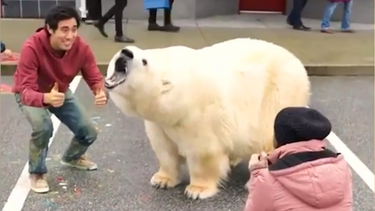 Top 100 Zach King Magic illusions 2024 - magic tricks vines Compilation