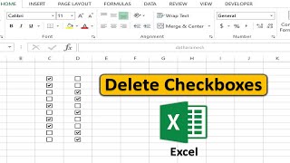 Celebrity How to Delete Checkboxes In Excel Net Worth