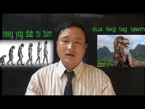 Video: Vim Li Cas Dinosaurs Ploj?