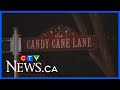 Driving down memory lane of Edmonton's Candy Cane Lane