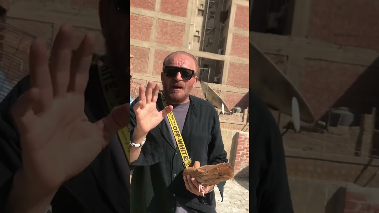 الحمام الغزار. ماركو. والعوده.  للحمام. لقاء ممتع وظريف وشرح.