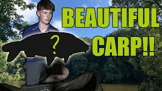 BEUTIFUL CARP at OVERNIGHT session!!!