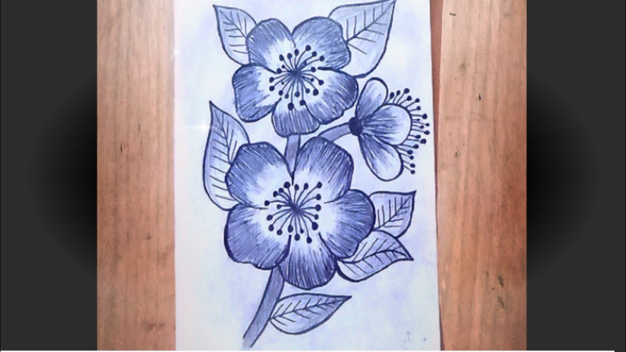 How to Draw a Flower ๐บ drawing ||Flower Drawing Ideas ||Pencil shade ...