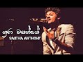 නුරා වසන්තේ | Nura wasanthe | Cover songs | Sajitha Anthony | Ma nowana oba | MX Music