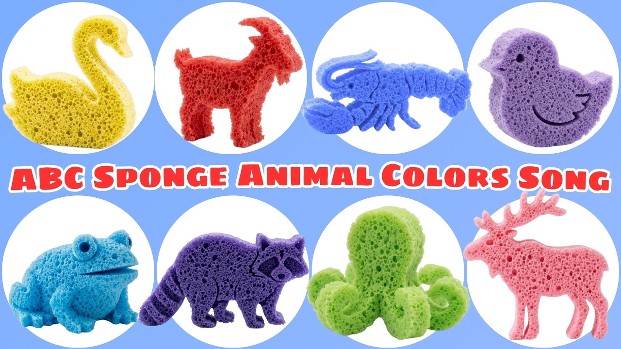 ABC Animals Color Sponge Animals A - Z 🧽🐾 ABC Song for Kids | Learn Animals, Sounds & Colors Fun!