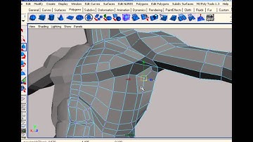 Organic Modeling: Chap 3: Torso - Part 2