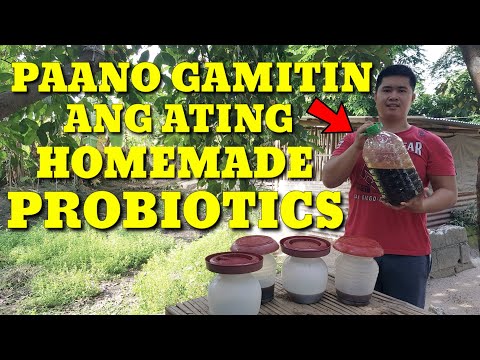 Video: May Probiotics Ba? Pagkatapos Mayroon Kang Tulong Para Sa Iyong 'irregular' Na Mga Alagang Hayop (siguro)