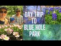 Day Trip to Blue Hole / Texas Wildflowers / Blue Hole Regional Park in Wimberley, Texas / Road Trip