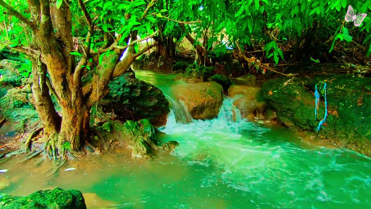 Relaxing Music For Stress Relief, Anxiety and Depressive States🌲Heal Mind, Body and Soul 51