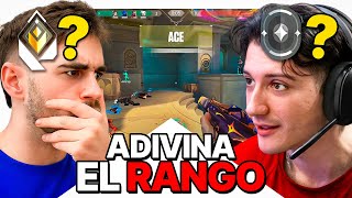 ADIVINA el RANGO en VALORANT (El que falle, paga)