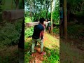 Electric pole erection #electrical #shortsbreak #shorts