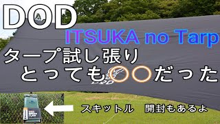 DOD ITSUKA no Tarp (ディーオーディいつかのタープ)めっちゃ優しい設営のやり方紹介します。#DOD