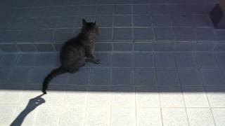 MVI_8358.AVI