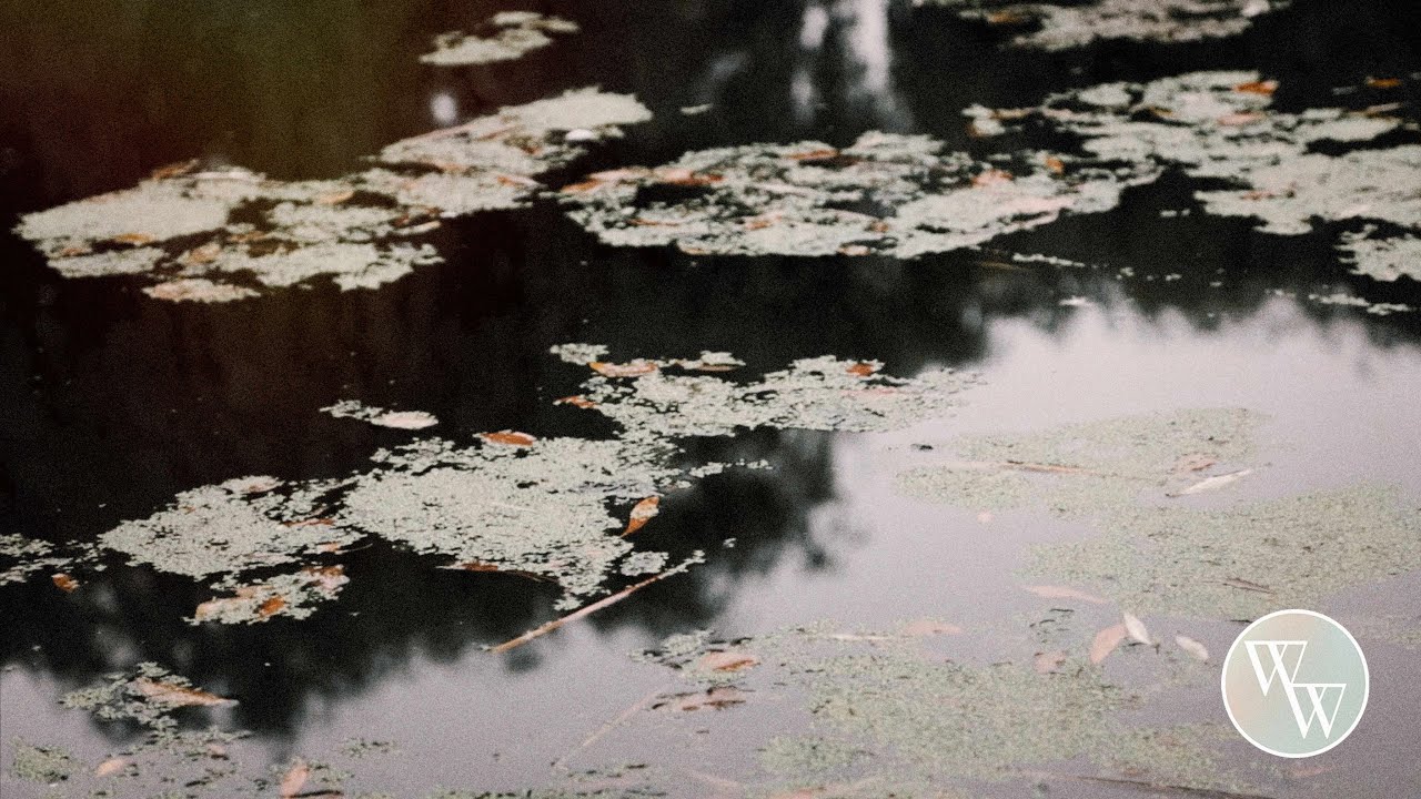 30 Minute 432Hz | Deep Healing Music for Body & Soul | Relaxing Meditation