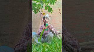 Giant Jelly Bottle ASMR!? 🙄 #usa