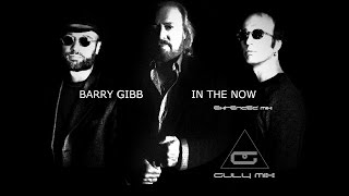 BARRY GIBB - In The Now - Extended Mix (Guly Mix) chords