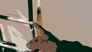 Dog House Challenge Dirt Road Knls Apbt World