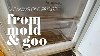 #4: Cleaning old fridge from mold and goo