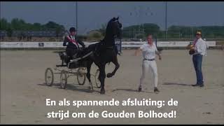 Kom Zaterdag Naar Ch Houten, De Gouden Bolhoed