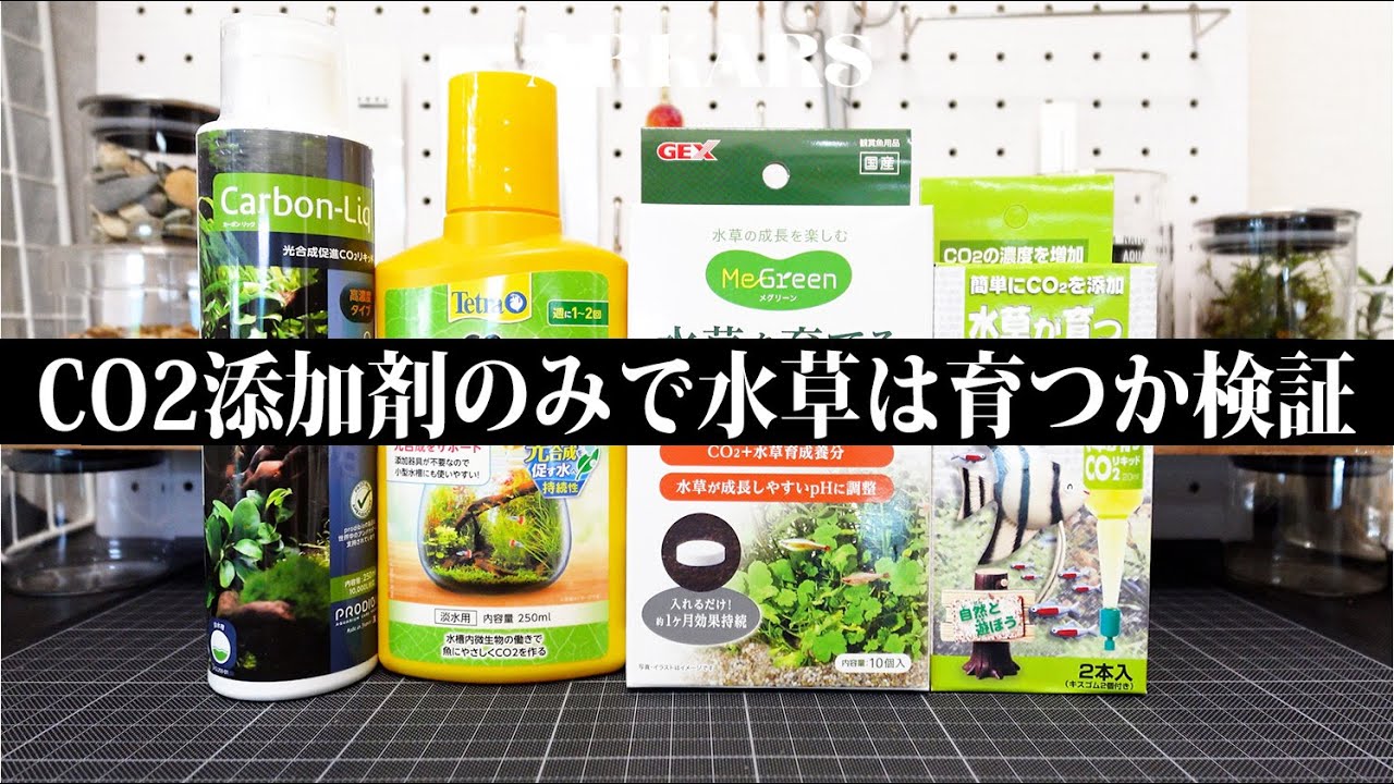 CO2添加装置 水草育成用 ARKARS_036「CO2添加剤のみで水草は育つか検証」 - YouTube