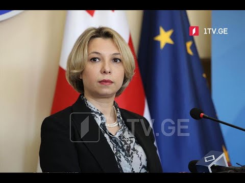 სახალხო დამცველმა ნიკა მელია მოინახულა