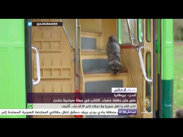 حول العالم... لأول مرة باص سياحي مصمم  للكلاب