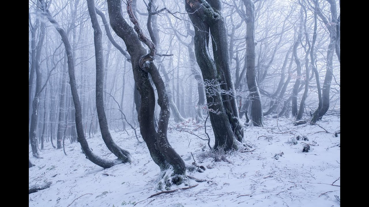 657 SAYILI KANUN MADDE 125 (DİSİPLİN CEZALARI)