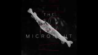 The Micronaut- Friedfisch