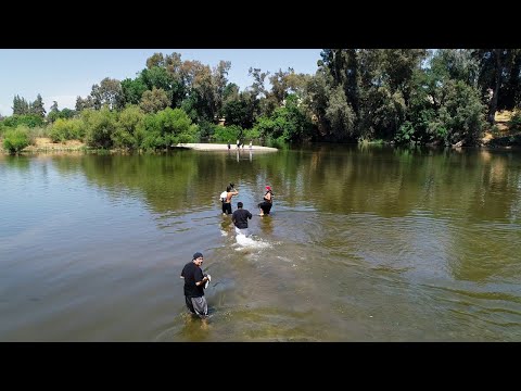 Take flight over Reedley Beach on the Kings River in this drone video