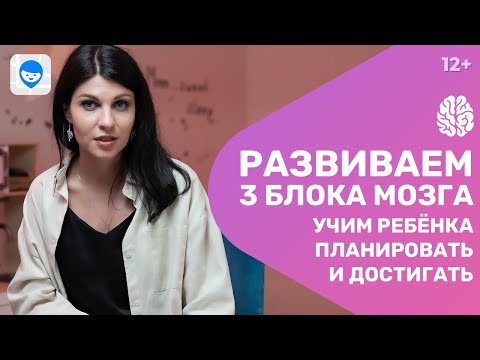 Развитие ребенка и подготовка к школе. Нейропсихолог о том, как работает 3 блок мозга.