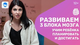 Развитие ребенка и подготовка к школе. Нейропсихолог о том, как работает 3 блок мозга.