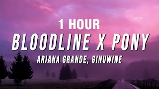 [1 HOUR] Ariana Grande, Ginuwine - Bloodline X Pony (TikTok Mashup) [Lyrics]