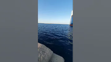 سفينة نقل السيارات راسية على الرصيف الليبي 