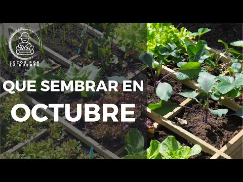 WHAT TO PLANT IN OCTOBER 2023. GARDEN CALENDAR and TASKS | Crazy for the Garden