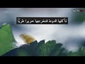 അല്ലാഹു ഏകനാണെന്നതില് തെളിവ്- Super Islamic Video- Zain TV HD