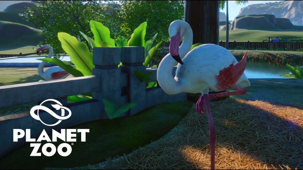 Flamingo Habitat | Little Asia Zoo | Speed Build | Planet Zoo