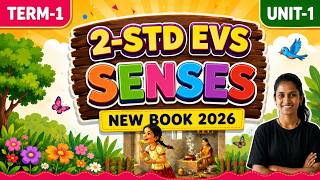 2nd Std  EVS | Term 1| Unit 1 I Senses and Safety | New Book 2026 I Pg.no 88 to 92