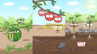 Super fun plant science animated videos#animation #funny #video 