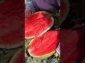 1 in a Million PERFECT Watermelon! 🍉🤤 #shorts #satisfying #asmr