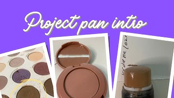 Project pan Intro 2022
