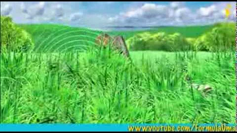 Где у кузнечика уши? (умные мультфильмы 