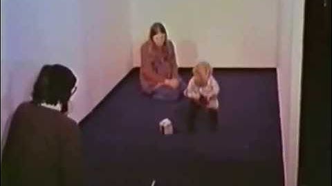 David Lee - Optic flow and moving room - 1974