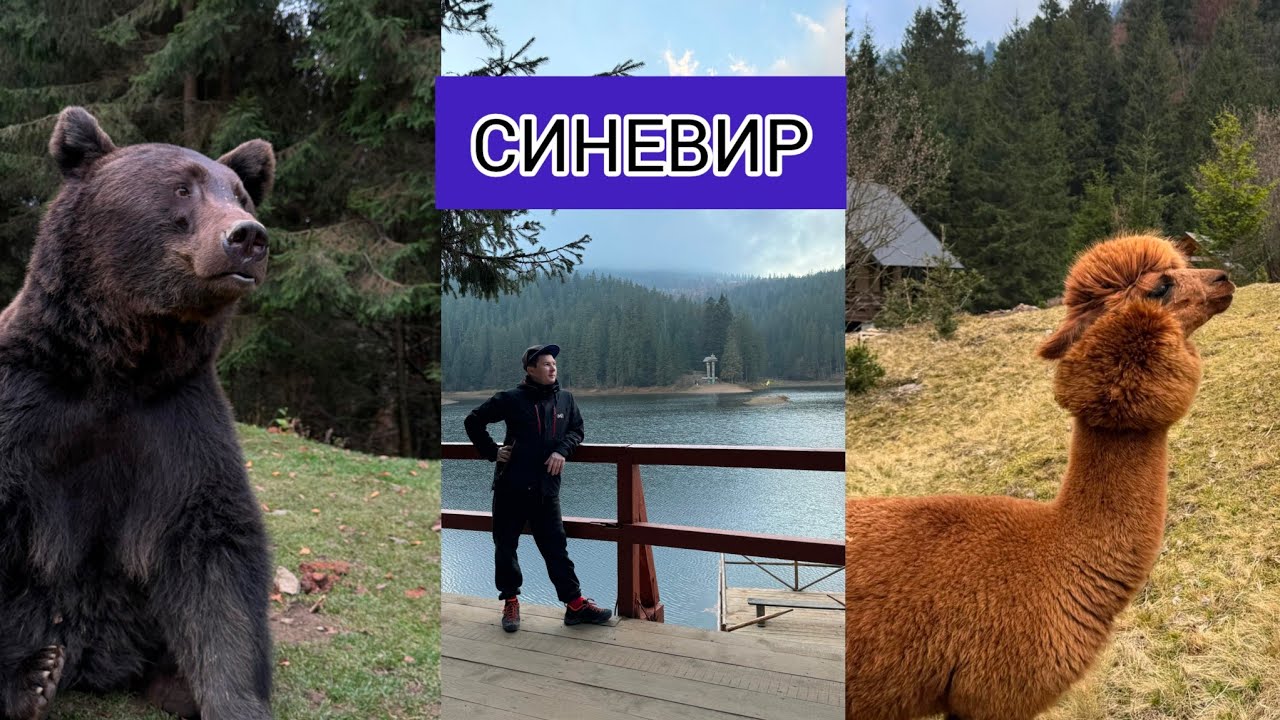 Синевир - завжди гарна ідея