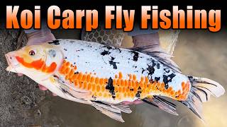 Koi Carp Fly Fishing