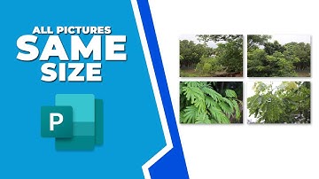 How to make all pictures the same size in Publisher
