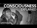 Understanding Consciousness